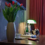 فندق مبيت وإفطار Magnolia غدينيا